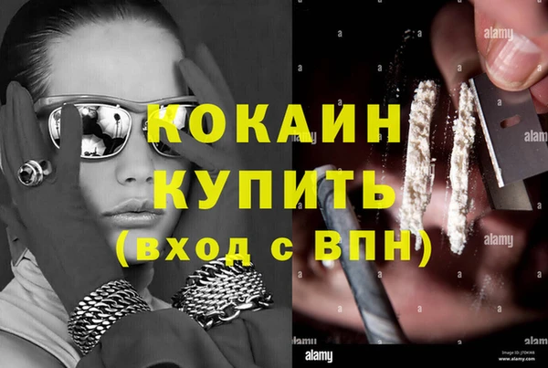 мяу мяу мука Аркадак