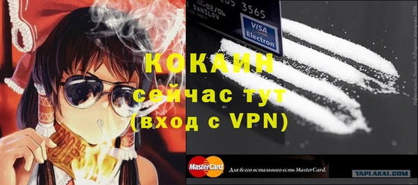 мяу мяу мука Аркадак