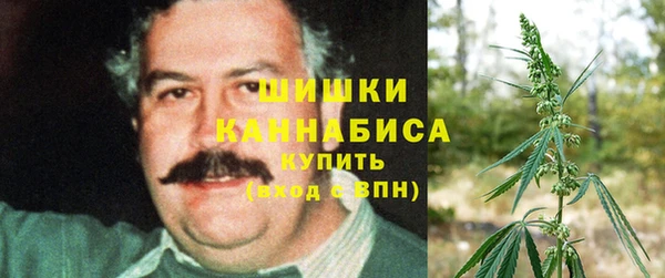 apvp Арсеньев