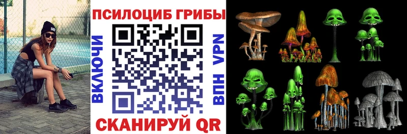 hydra ССЫЛКА  Тында  Псилоцибиновые грибы Psilocybine cubensis 